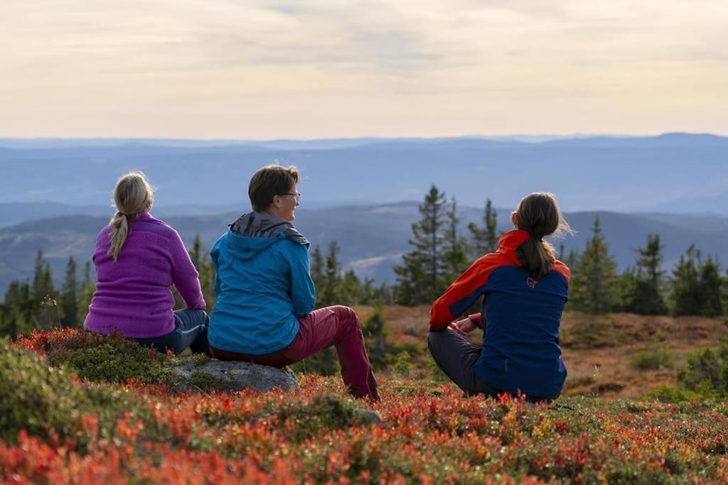 Beautiful Penthouse With Panoramic View At Sjusjoen Lejlighed Eksteriør billede
