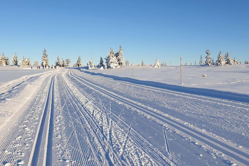 Beautiful Penthouse With Panoramic View At Sjusjoen Lejlighed Eksteriør billede